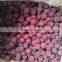 Sinocharm BRC-A approved New Crop  IQF waxberry Whole  Frozen chinese yangmei