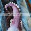 giant squid tentacles cut tentacle giant squid frozen giant squid tentacles