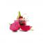 freeze dried red pink pitaya fruit powder