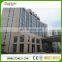 cheap price Giallo Carioca granite tiles