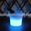 Beer Champagne Wine Portable ice bucket  Waterproof with Colors Changing Glowing Plastic led ice buckets custom large