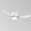 Low Profit DC Ceiling Fans With Remote Control Led Ceiling Lights
