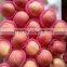 2016 Super sweet fresh fuji apple from China