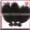 Factory direct sale Tangle Free 100% Remy Human Silky Straight Brizilian Virgin Hair Bundles