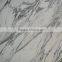 Popular and Hottest Polished Arabescato White Marble Slabs