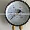 Double needle pressure gauge with
