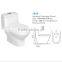 Chaozhou ceramic sanitary ware washdown one piece toilet