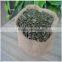 2015 New Crop GWS Pumpkin Seeds Grown Without Shell,China Pumpkin Seed Kernels GWS AA &A For sale