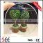 eyewaer 1.56 plastic optical lens