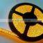240leds double line 24v rgb smd 3528 led strip light IP20 with 5 years warranty