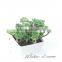 Cheap decoration artificial succulent plant high quality potted plant for decoration