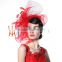 New Arrival Ladies Red Fancy Hair Accessories Facinators Hats With Elegant Feather / Net For Wedding