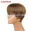 Wigs Women Party Sexy Short Straight Brown Mixed Synthetic Hair Full Wig