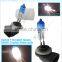 Crystal white 55W 881 5800K Car Plasma Halogen Bulb