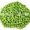 2015 supplying dried green peas with excellent quality (hot sale )