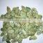 Chinese Green Tea Roasted Pumkin Seeds Kernels for sale