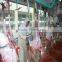 goat antilope agneau slaughter