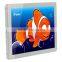 19" Back Mount Advertising Bus TV