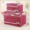 Sweet Bowknot non-woven collapsible storage box