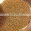 CUMIN SEED MACHIN CLEAN