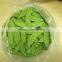 Hot sale Fresh Snow Peas/ Sugar Snap Peas/fresh peas