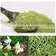 GMP Certified Factory Supply Natural Moringa Oleifera Powder