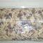Good taste packing drum shimeiji brined shimeiji preserved New Crop shiemiji in drum