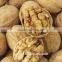 Shanxi Fenyang Mayifang Thin Skin Walnuts in Shell,crushed Walnut Shells,black Walnut Shells,