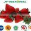 strawberry juice powder ISO, GMP, HACCP, KOSHER, HALAL certificated manufacture