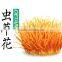 Most Popular Dried Cordyceps militaris