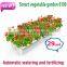 Hot item bulk sell duck flower pot