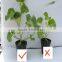 ISO9001 certification humic acid water soluble fertilizer