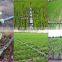 High Pressure Farm Irrigation System for Farmland on Ground