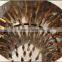 Cheaper with CE Certification poultry quail bird sparrow feather plucking machine