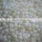 Bulk wholesale freshwater shell beads river shell pearl