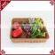 Hand woven customized food storage square shape plastic poly rattan basket for fruit