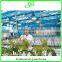 Professional Greenhouse Project commercial hydroponic systems