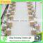 Holland Bucket Hydroponic System