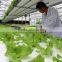 chengdu BaoLiDa low price multi-span PC shed greenhouse PC sheet greenhouse vegetable greenhouse