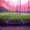 Red net, Agricultural shade net, plastic net, green shade net,green hourse,China manufacture HDPE shade net, plastic net, pe net