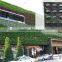 Types of Ornamental Plants Hydroponics Equipment Flowerpot