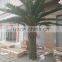 Outdoor Decorative Fake Artificial Date Palm Tree