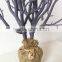  Wedding Table Centerpieces without Leaves