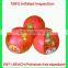 CE/EN71/REACH standard inflatable water ball inflatable water ballon