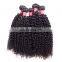 afro kinky human hair weaving malaysian hair