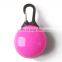 2020 amazon hot sale  factory supply New Pet Products pet light