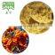 100% Natural Sea Buckthorn Fruit Extract Powder