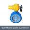DN100 flanged stainless steel disc valve