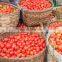 industrial tomato sauce making machine production line