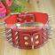 Large Spiked Dog Collar For Hunting Dogs